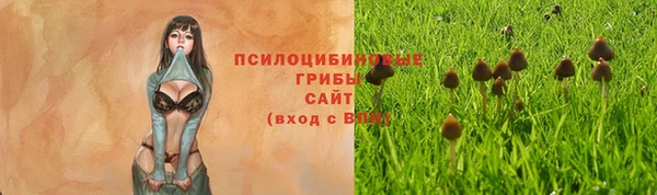 трава Балахна