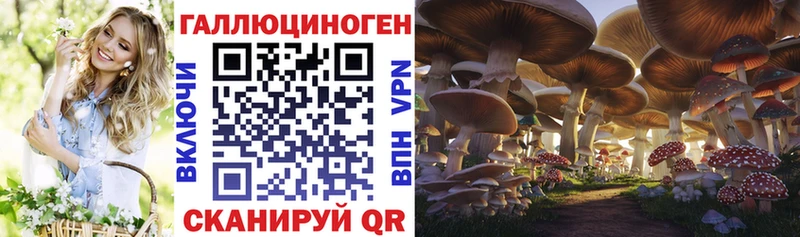 купить наркоту  Коммунар  Псилоцибиновые грибы ЛСД 